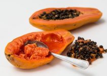 Medicinal Properties of papaya seeds