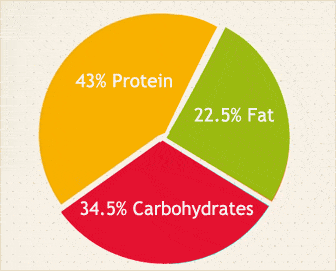 diets_scarsdale