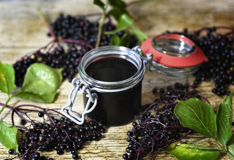 Elderberry Syrup